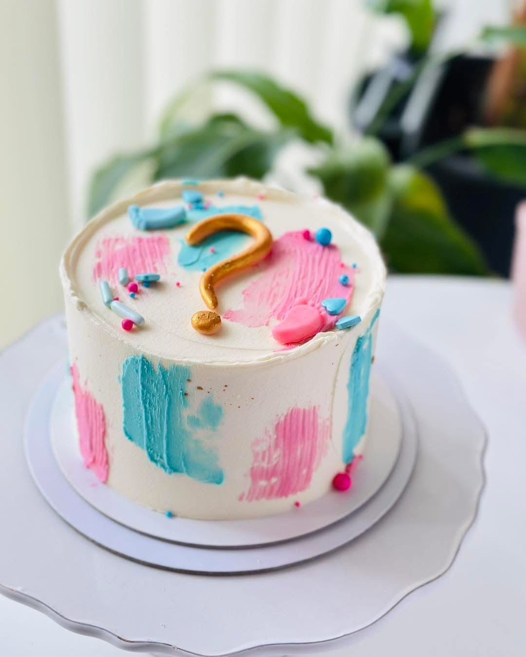 Duo Mousse- Bento Cake