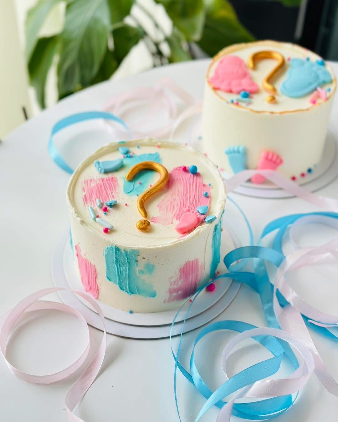 Duo Mousse- Bento Cake