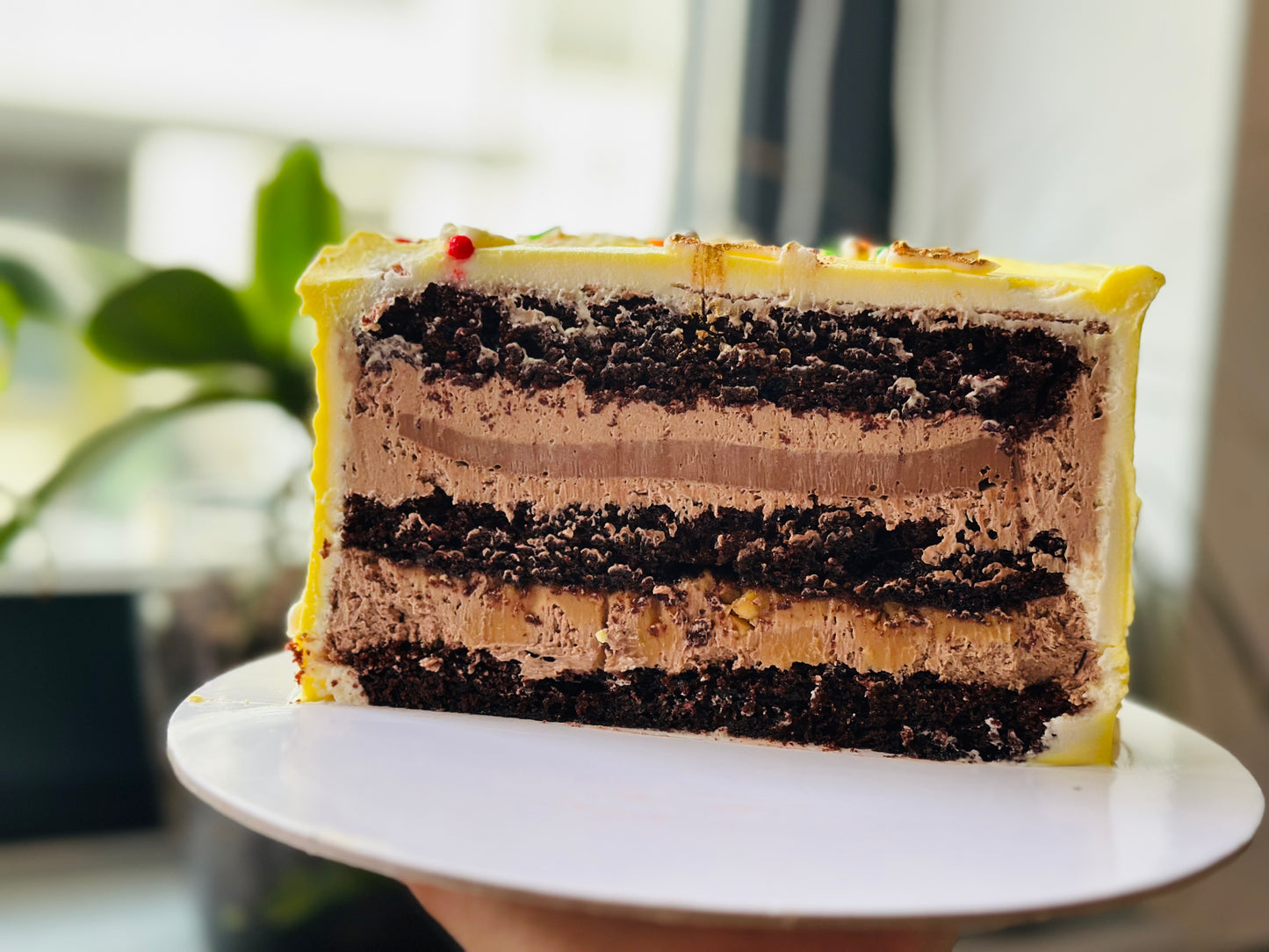 Supreme Chocolate- Bento Cake
