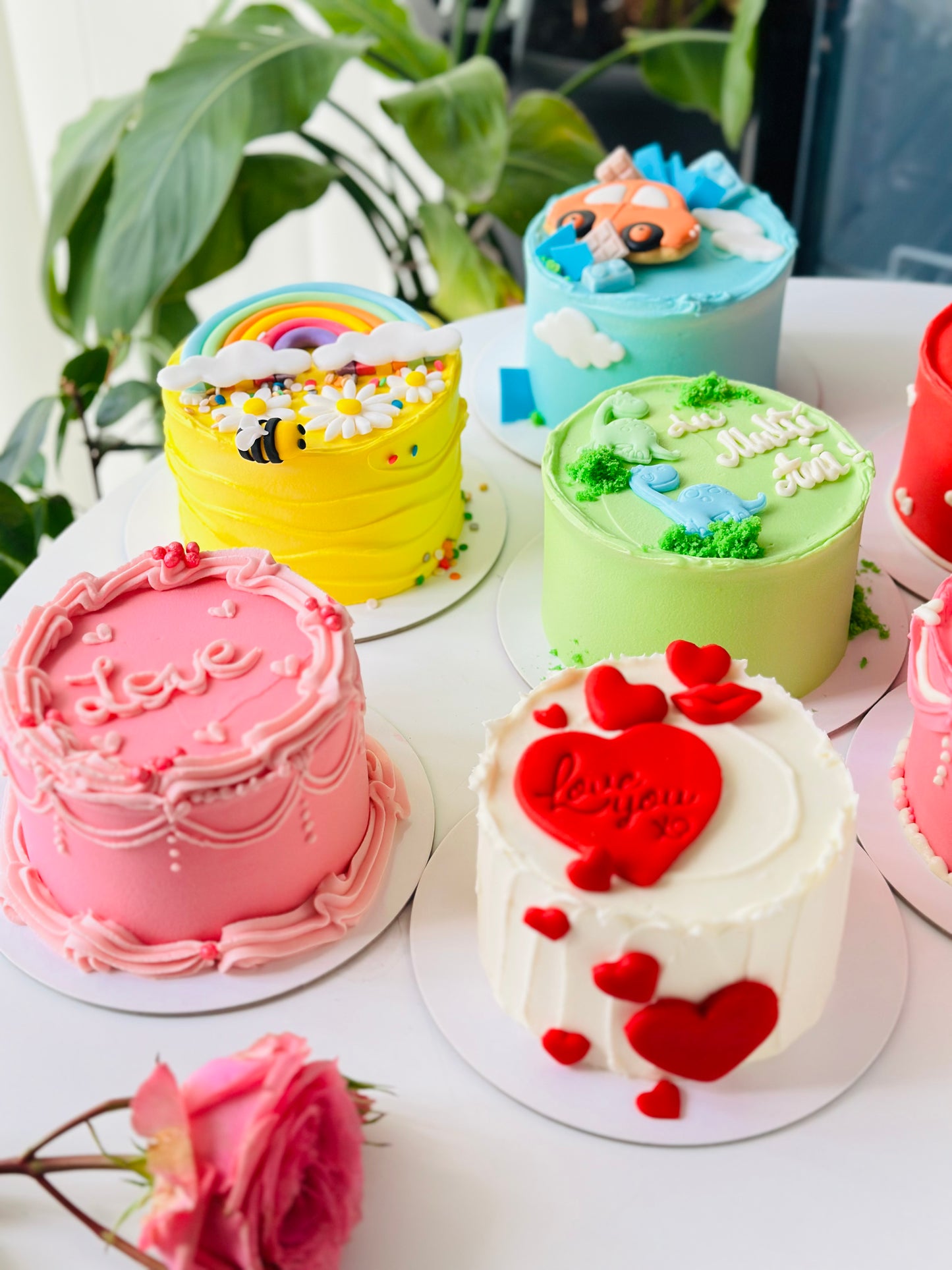 Raspberry Chocolate- bento cakes