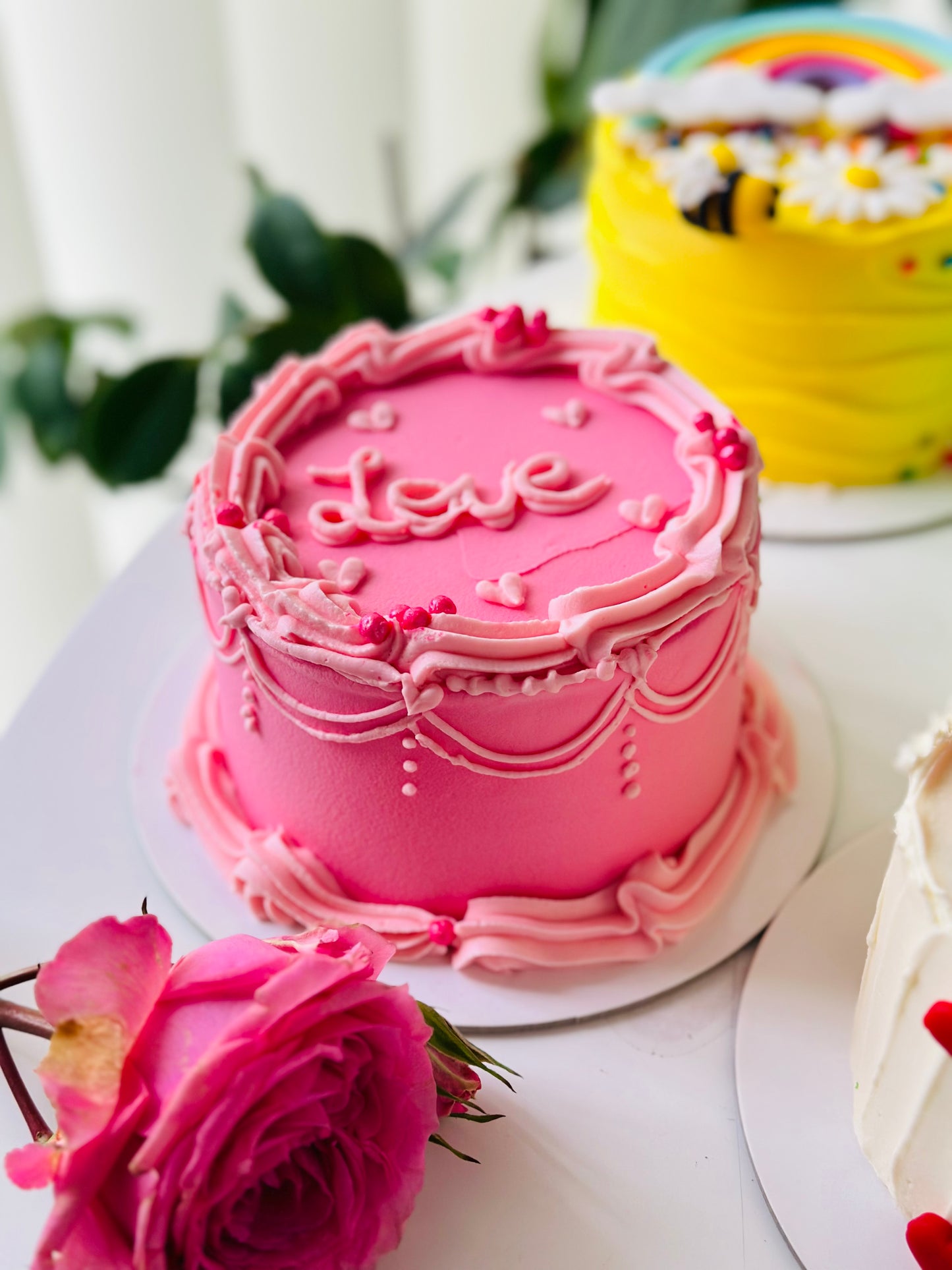 Duo Mousse- Bento Cake