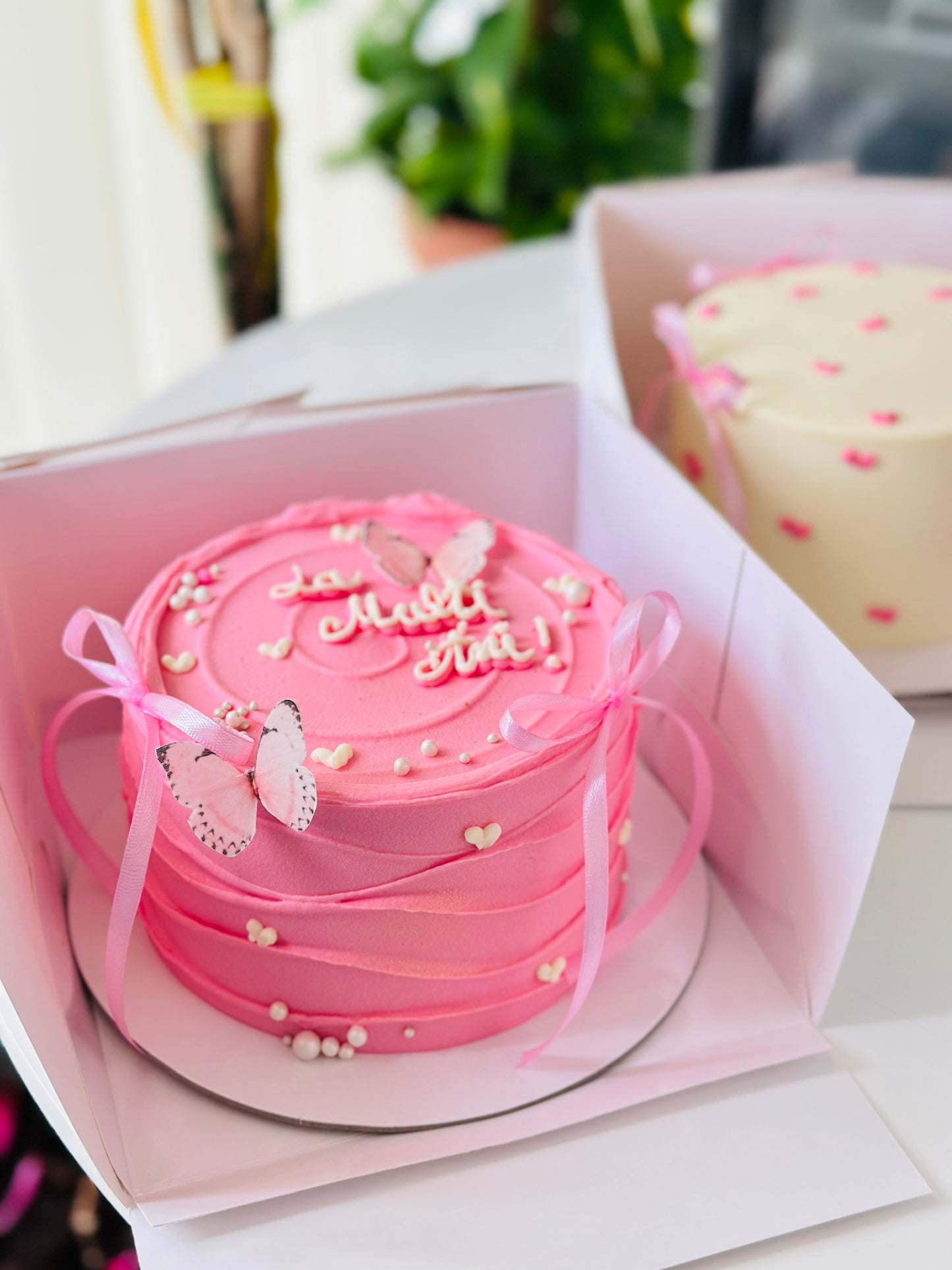 Supreme Chocolate- Bento Cake