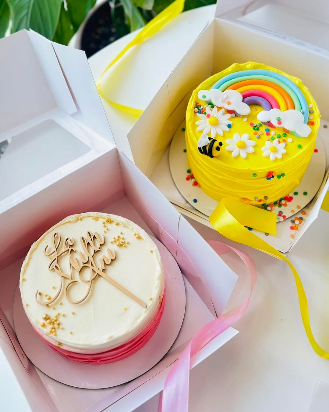 Duo Mousse- Bento Cake