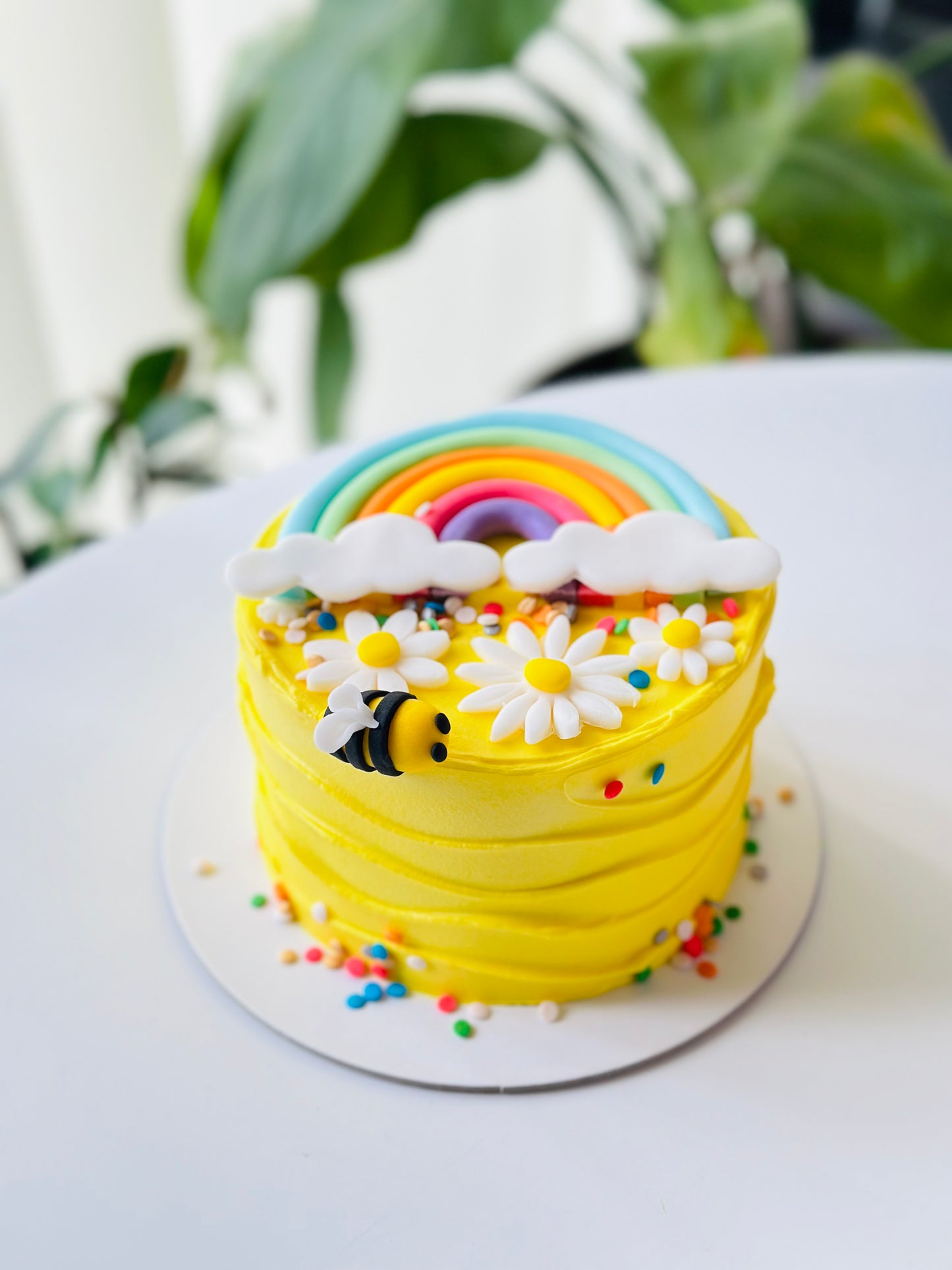 Duo Mousse- Bento Cake