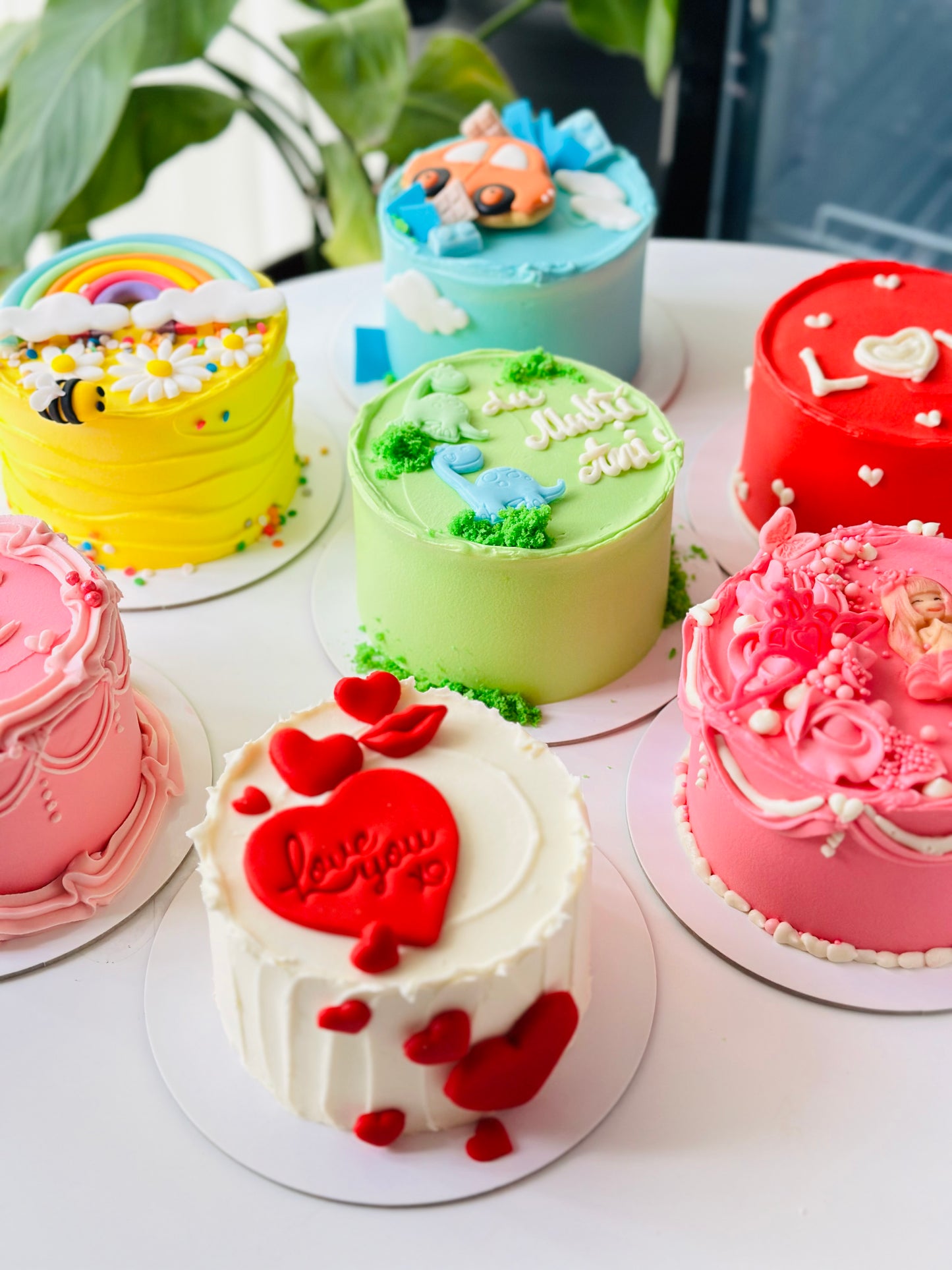 Raspberry Chocolate- bento cakes